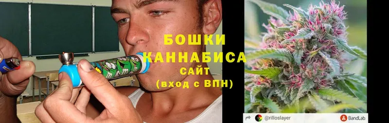 Бошки Шишки Ganja  Лысково 